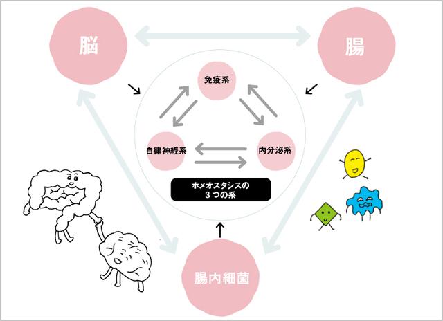 画像: 腸にいいことをすればいい