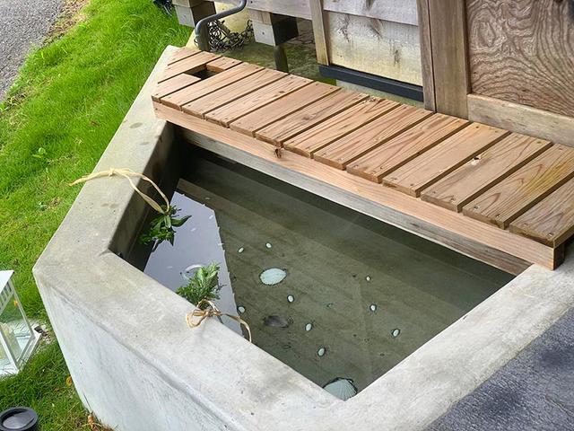 画像2: ローズマリーの浸出液を使ってみましょう