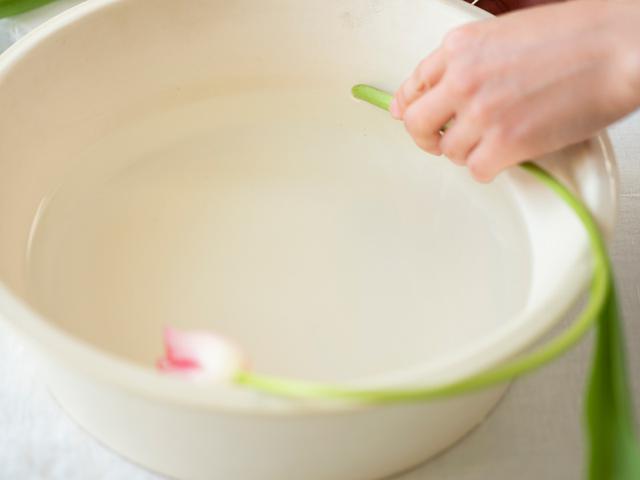 画像2: 3:器の側面にぴったりになるように茎先は斜めにカット