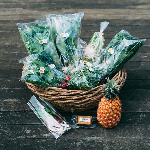 画像: 小堀さんが選んだ旬の野菜や加工品が届くサービス「ベジバルーン」のセット