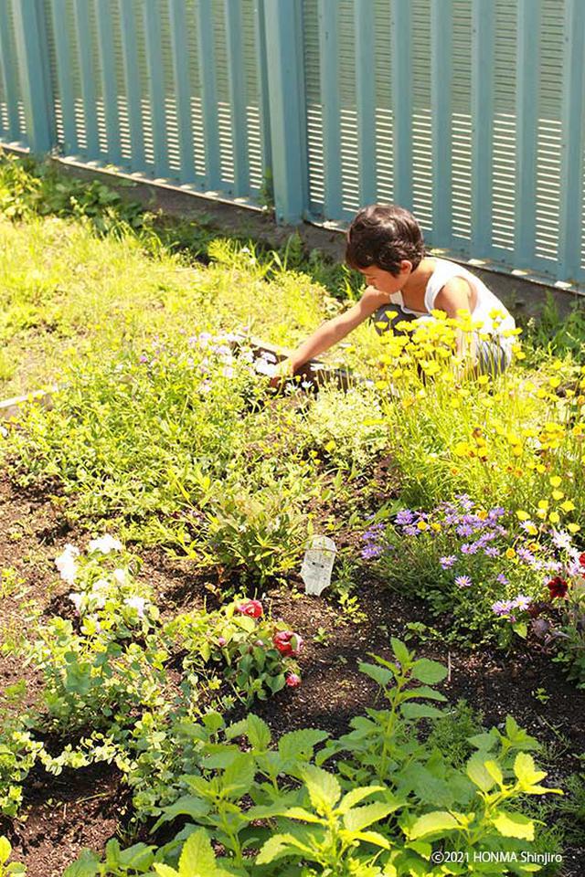 画像: 自宅の庭で花壇づくり。たくさんの虫があそびに来てくれるようにと、虫好きな息子と考えて、いろいろな花を植えました