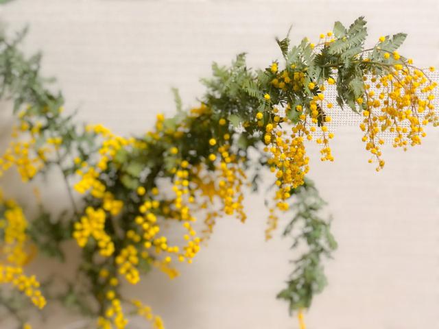 画像2: 春に花を愛でる