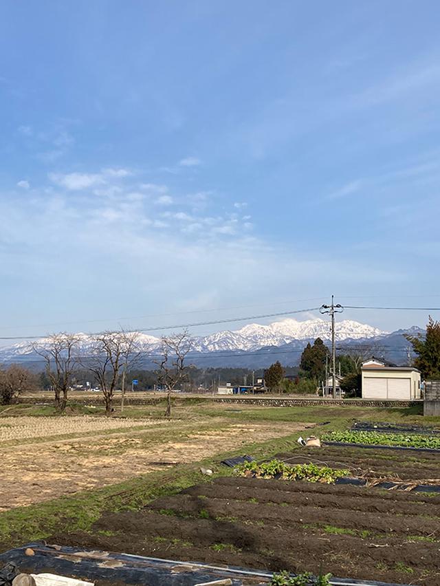 画像: 周りの畑の準備も始まりました。