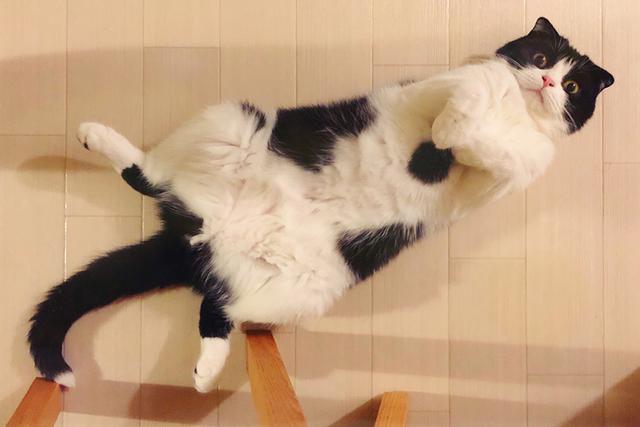 画像: 内弁慶のため、家族だけの時は大胆ポーズ