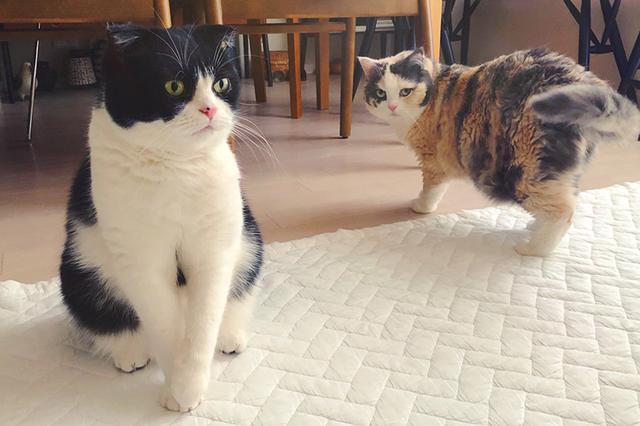 画像: おいしいものを開けた瞬間は目がギラン