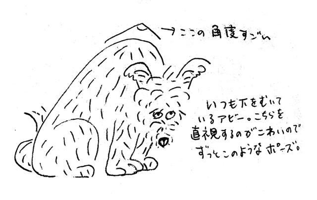 画像: 音もこわければ視線もこわい(オカタオカさん日記より)