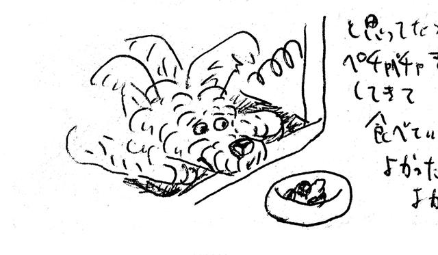 画像: 我々が同じ部屋にいると目の前のご飯も食べれない(オカタオカさん日記より)
