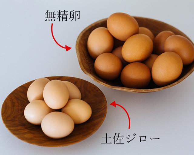 画像: 春の卵は美味