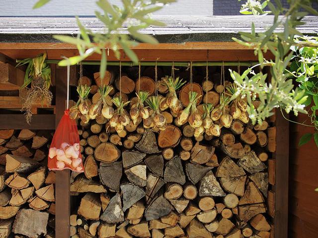 画像: 5月恒例のわが家の風景