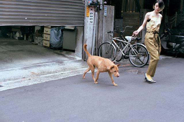 画像4: 「南昌路(なんしょうろ)」の路地