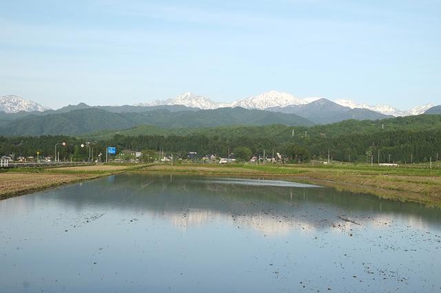 画像: 田に映るアルプス