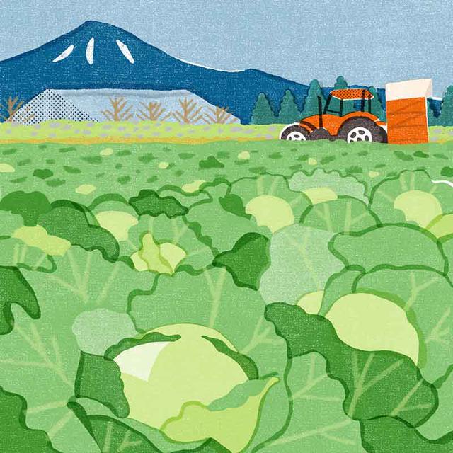 画像1: 3つのまちがいを探してください