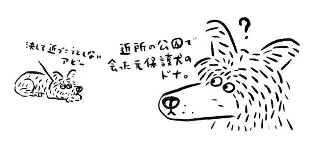 画像: 人も犬も苦手なアビー