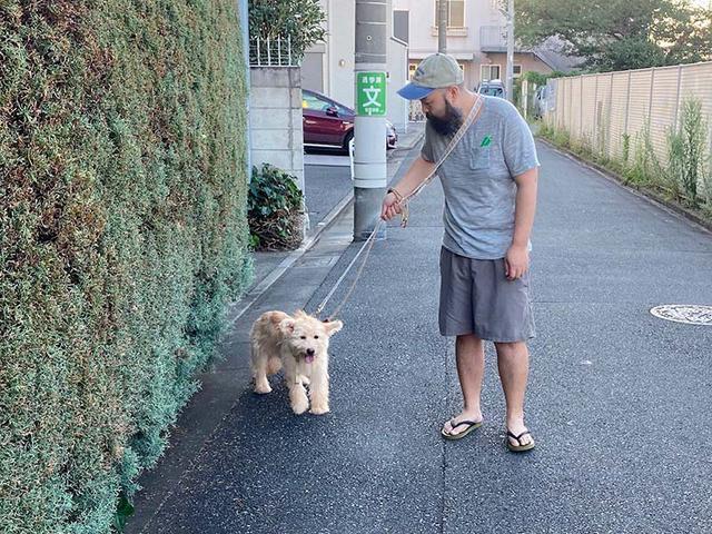 画像: 初めての散歩(パニックで過呼吸)