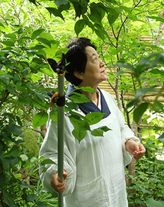 画像: 横山タカ子さんのプロフィール