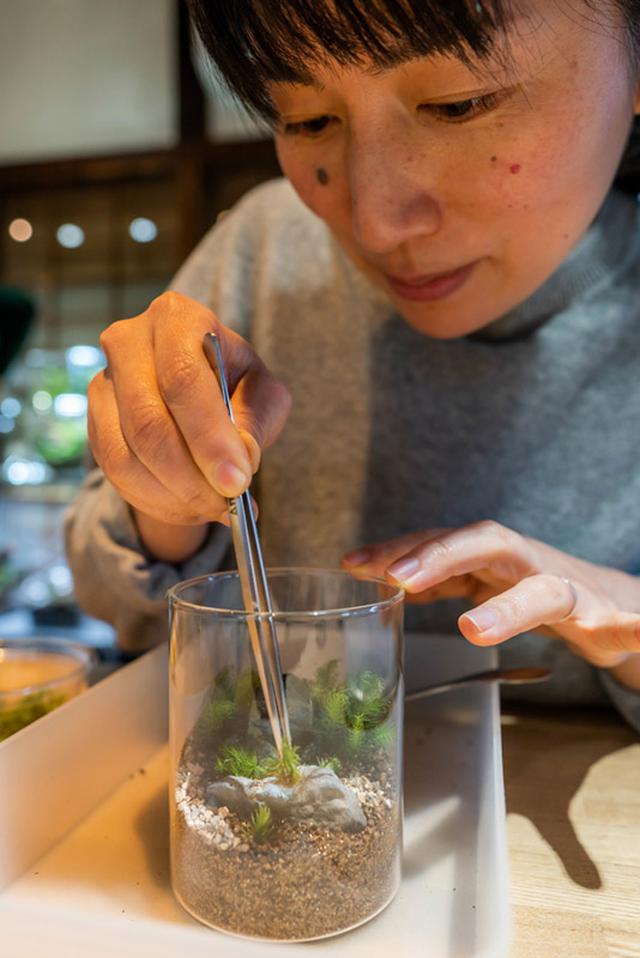 画像: 苔むすび