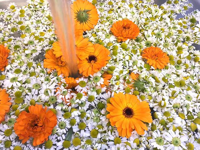 画像: 花の洗い方