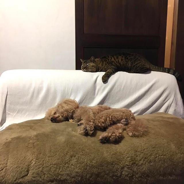 画像6: 小迷惑な関係性