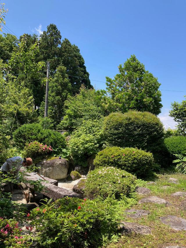 画像: 庭の池の補修が続いています。完成はいつになるのでしょうか?