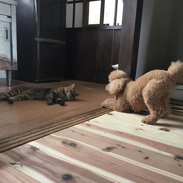 画像5: 小迷惑な関係性