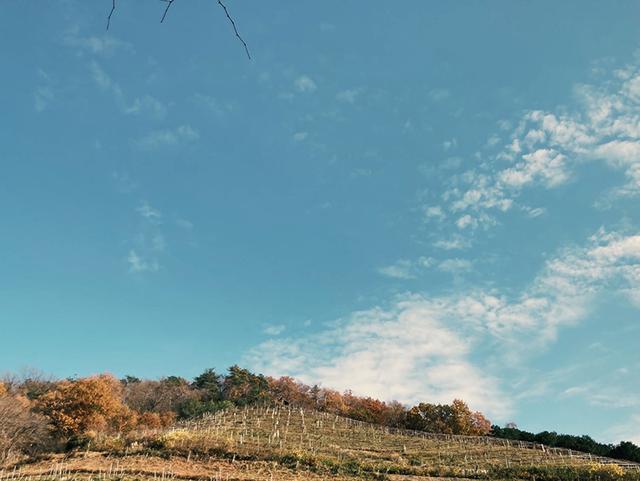 画像: 撮影/砂漠
