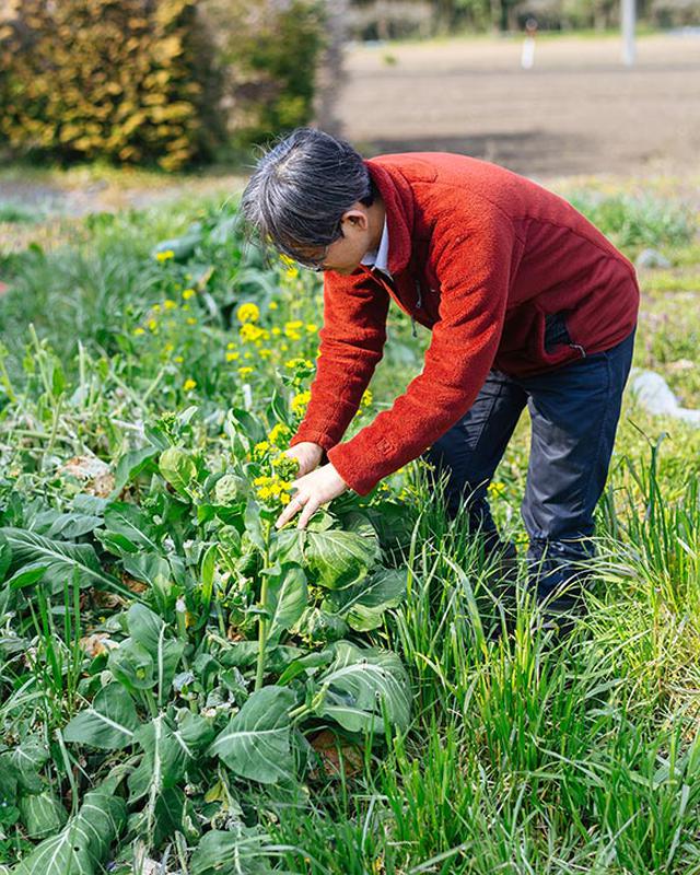 画像: 紫外線と暑さ対策について