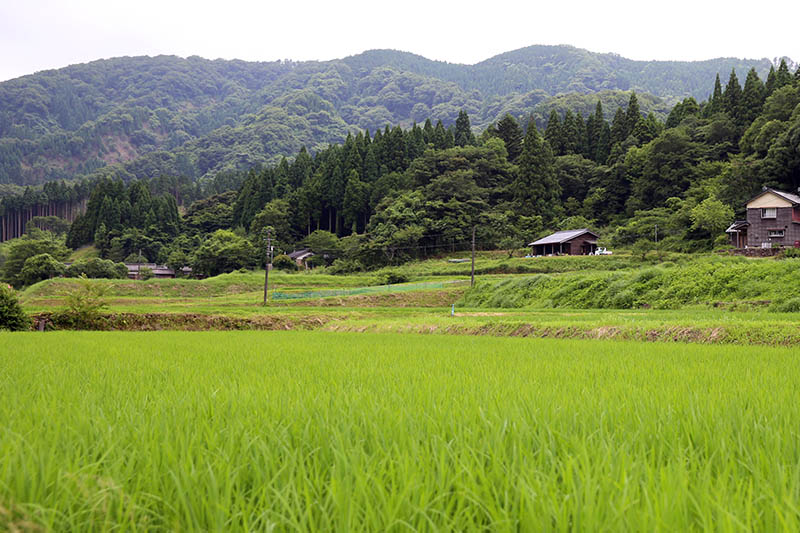 画像: 周りには、美しい田園風景が広がる