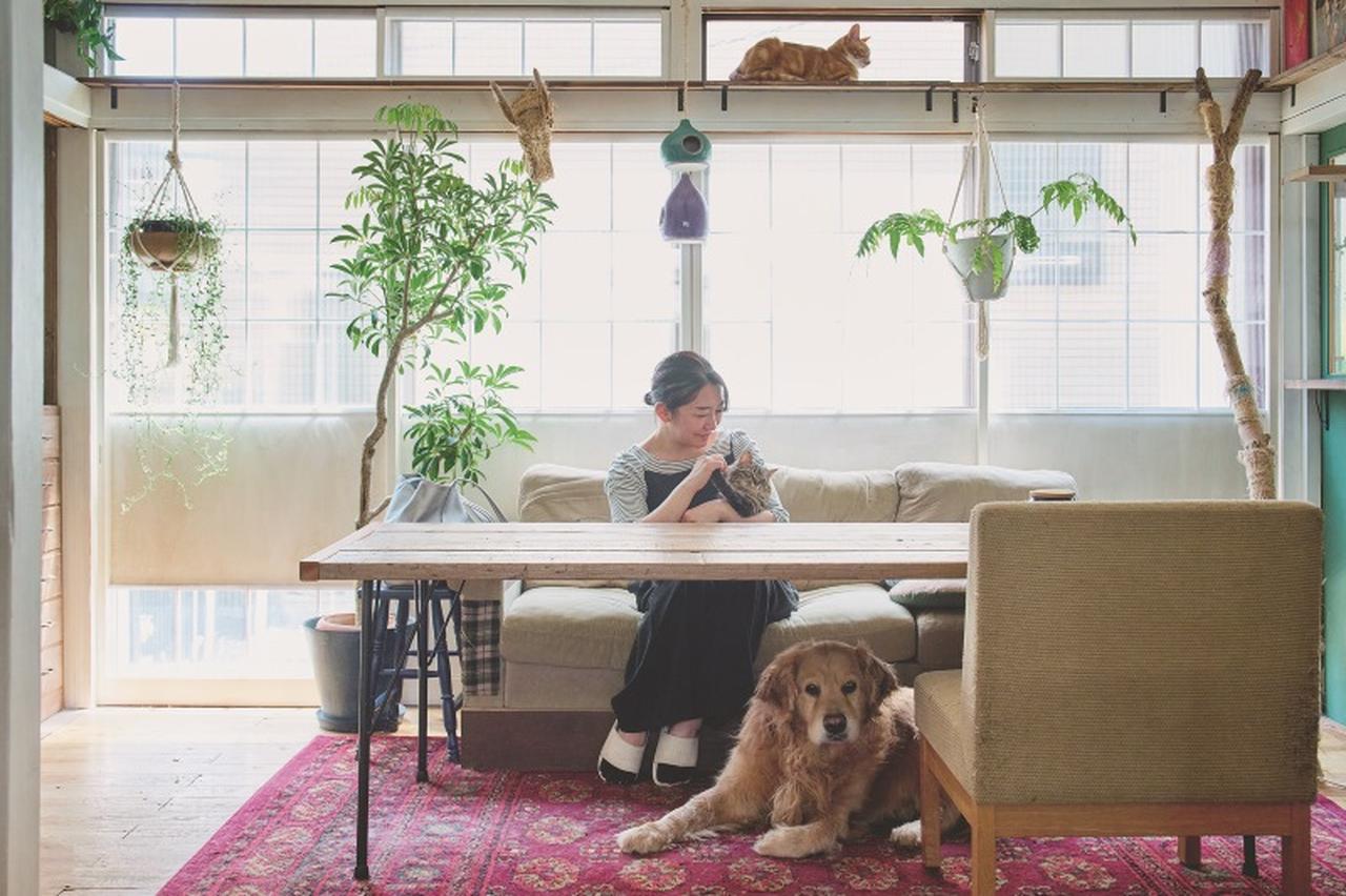 d6c231e135a4fac1a26957caac55c1