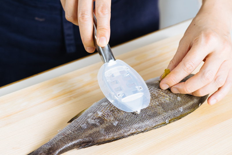 天然生活編集部の【キッチンツール・レポート】編集長おすすめのSELECT100「うろこ取り」魚料理の下処理が簡単に - 天然生活web