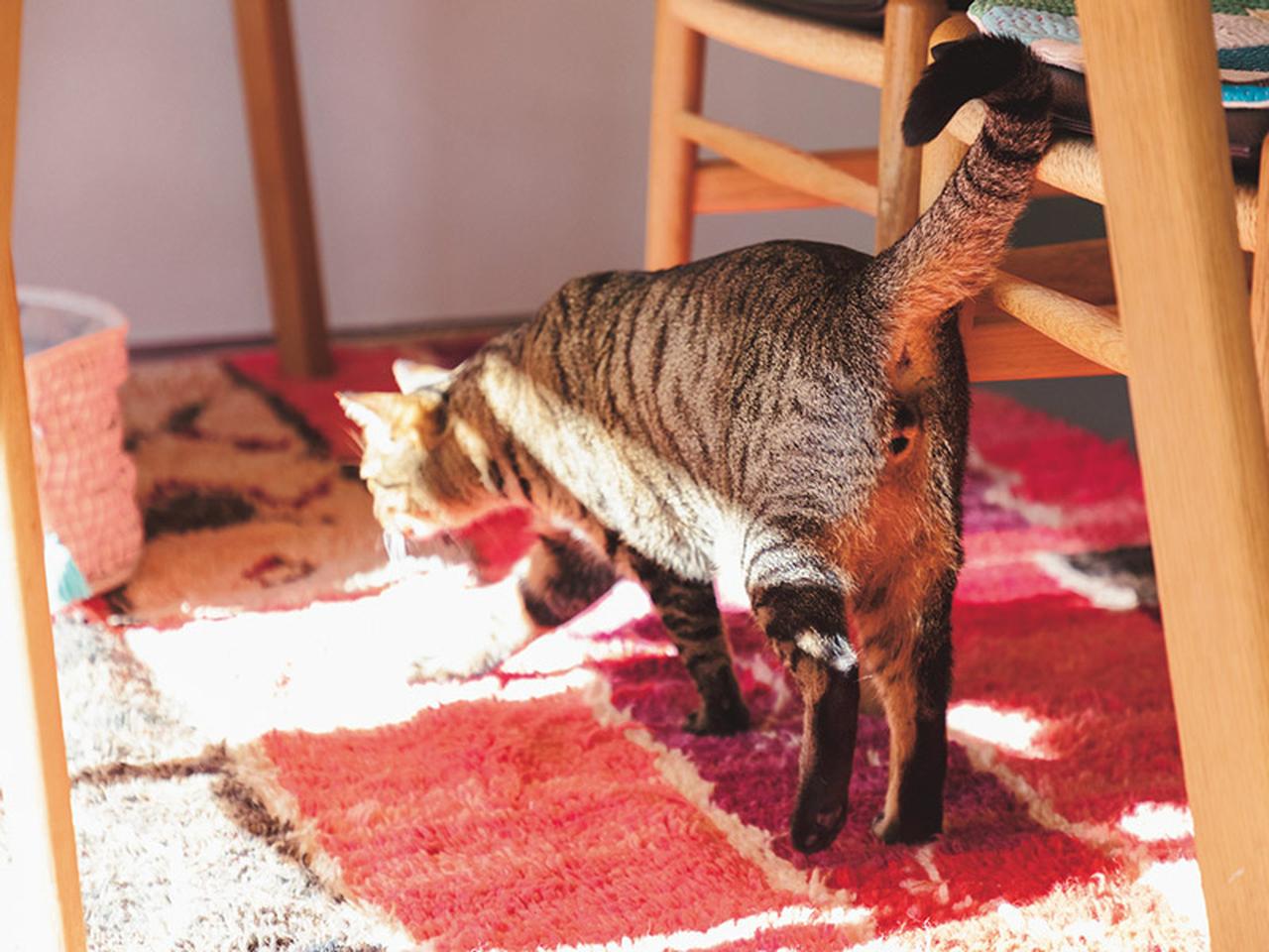 トラウマからの教訓