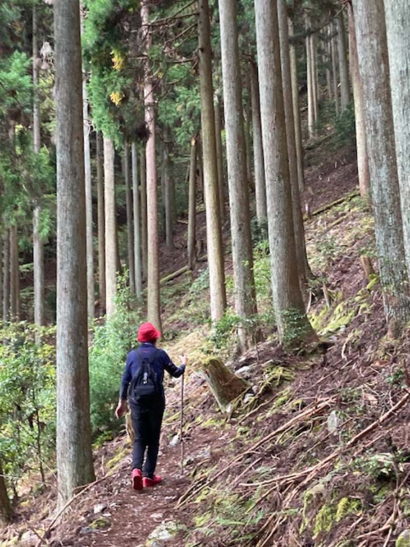 画像1: 軽い気持ちで登ったものの……
