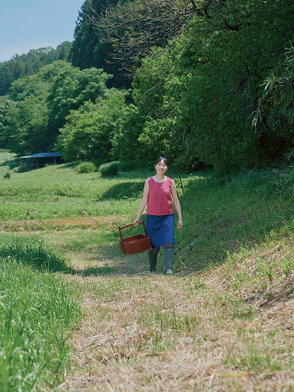 画像: 年間70種以上の野菜を育てている3000坪の畑は、自宅から徒歩5分。野菜の様子を見ながら、必要に応じて摘果したり、雑草を抜いたりしているうちに、汗びっしょりに