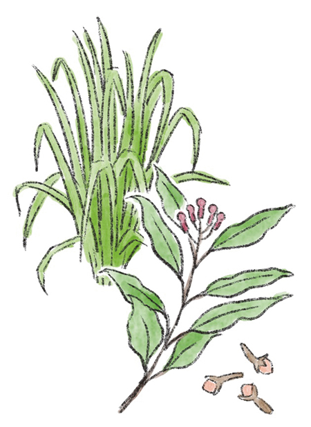 画像: 人と環境にやさしい虫よけ 夏のハーブのポプリ