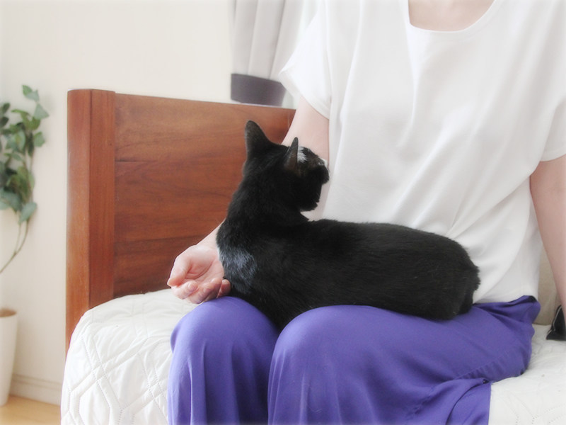 画像: 膝に乗る「全」