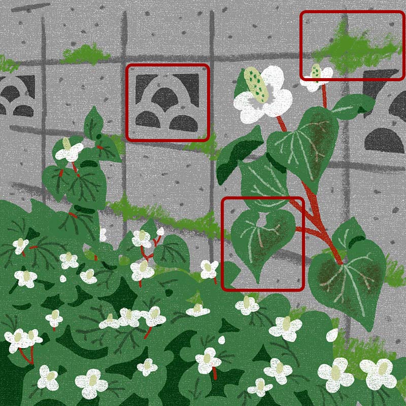 画像3: 3つのまちがいを探してください
