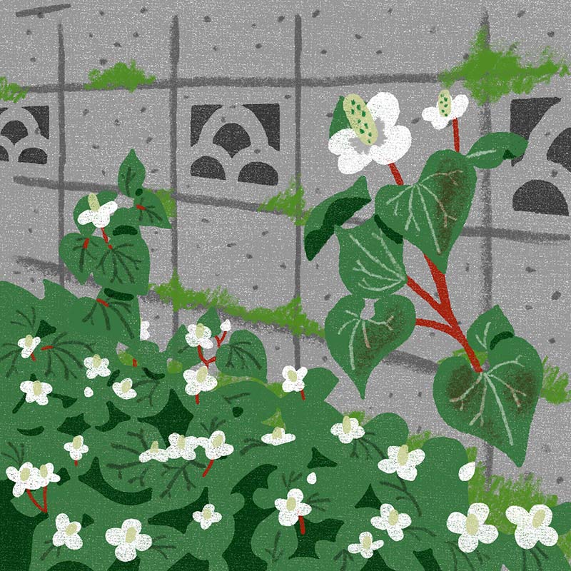 画像1: 3つのまちがいを探してください