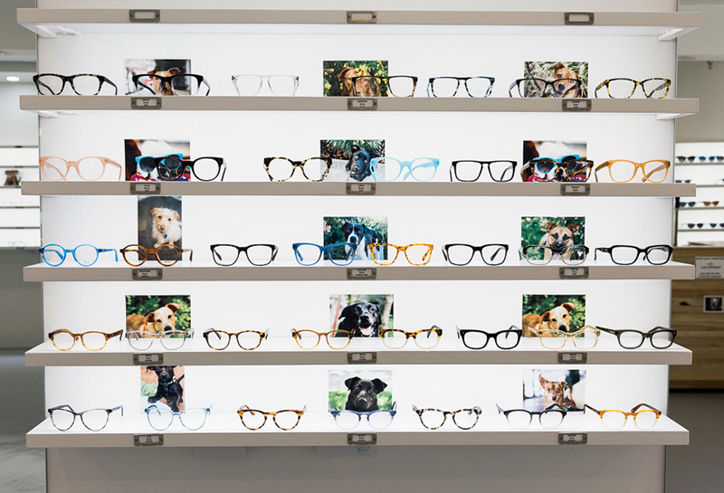 画像: フレーム棚の壁面にはピクシーを通して譲渡された保護犬の写真をディスプレイ ©Fetch Eyewear