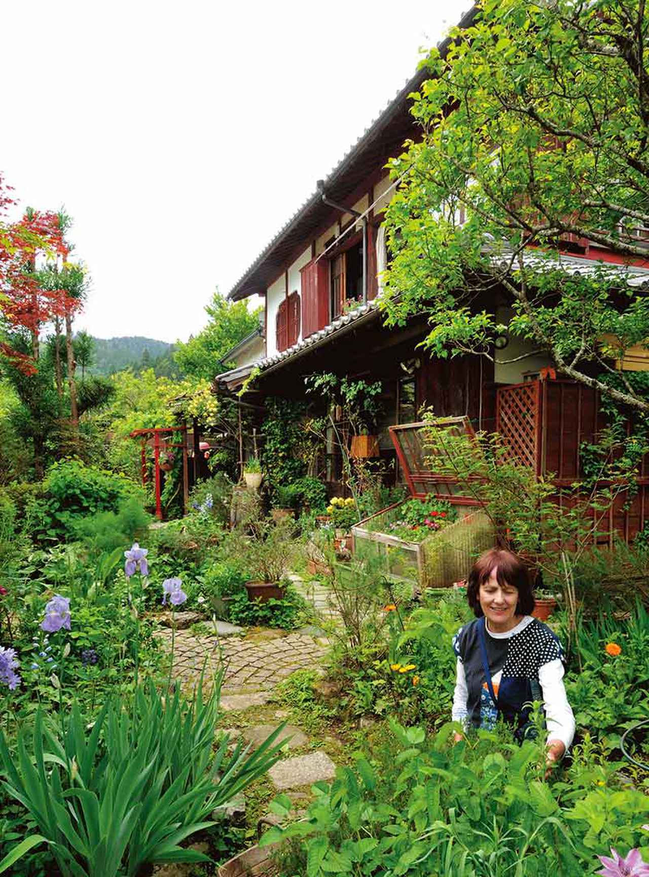 画像: 1996年に大原の古民家に引っ越ししてから、本格的に庭づくりを始めたというベニシアさん。ハーブがこんもりと生い茂る心休まるガーデン