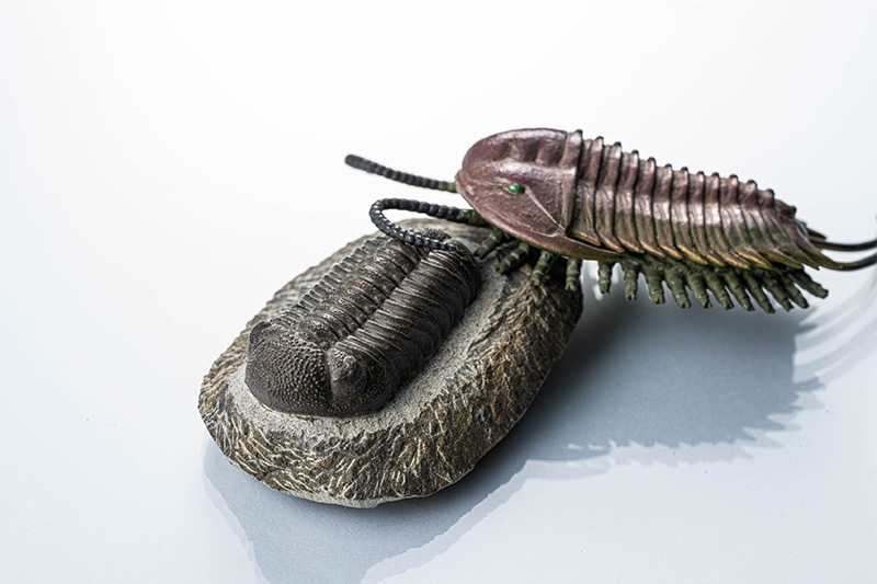 画像: なかよく戯れる2匹の三葉虫。下が化石、上がフィギュアですが、フィギュアの「オレノイデス」は、化石（おそらく「エルドレドゲオプス・ラナ」）よりも7000万年も古い種類です。7000万年といえば、人類と恐竜以上の時間の隔たりです！