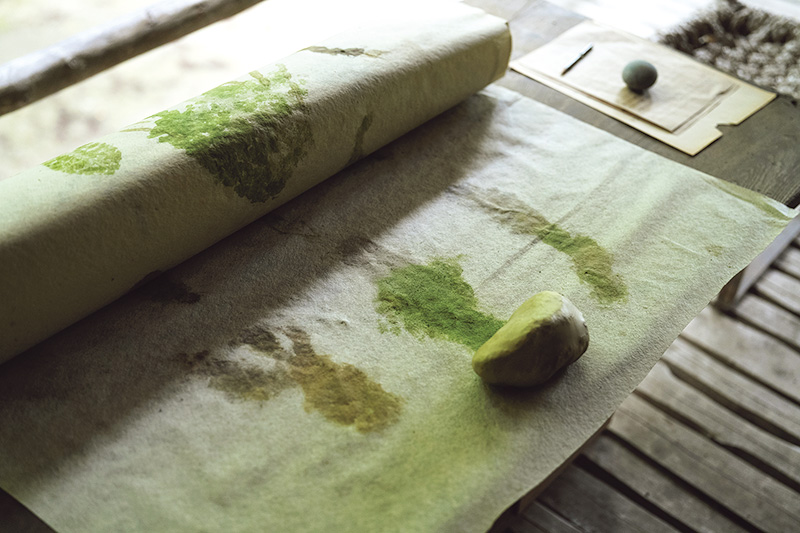 画像: 植物で布に色づけをする居相家ならではの遊び。「子どもたちと楽しんでいます」