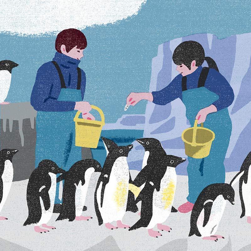画像2: 3つのまちがいを探してください