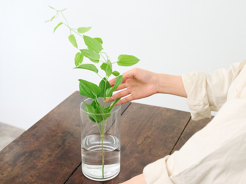 プロの花屋に聞く「グリーン」を長持ちさせる方法。買ってすぐのお手入れとこまめな水替えで長く楽しむコツ／花屋Ury・渡辺亜紀子さん