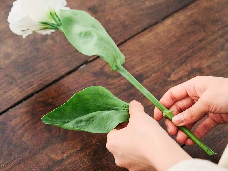 画像1: 切り花を長く楽しむ 買ってすぐのお手入れのコツ