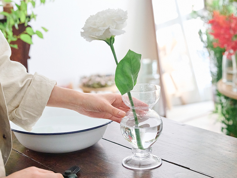 画像4: 切り花を長く楽しむ 買ってすぐのお手入れのコツ