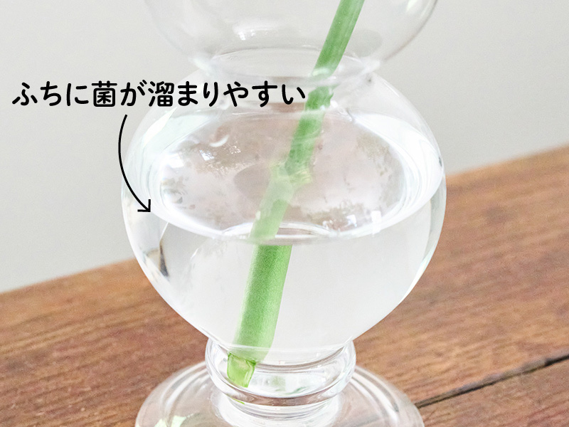 画像1: プロの花屋に聞く「切り花」を長持ちさせる方法。“買ってすぐ”のお手入れとこまめな水替えで長く楽しむコツ／花屋Ury・渡辺亜紀子さん