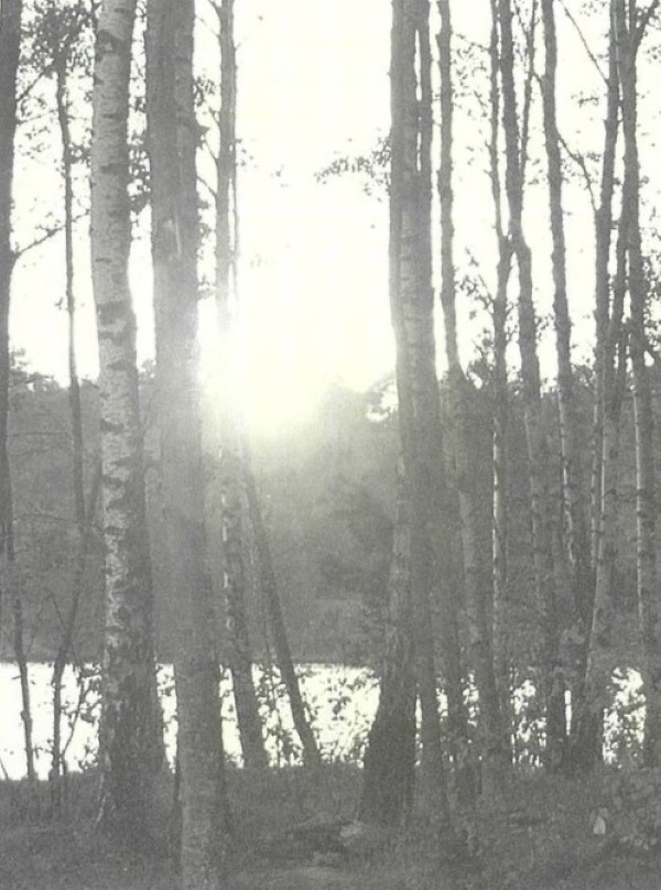 画像: Lilla Delsjön Goteborg.(photo Ikegami )