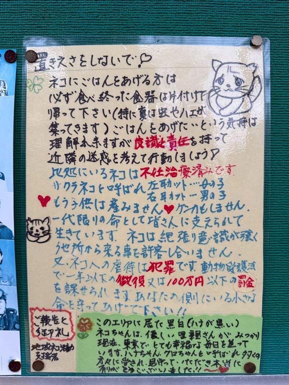画像: 地域の掲示板。そらは「ハナちゃん」や「クロちゃん」と、さまざまな名前で呼ばれていました。 会いに来てくれていた人たちのために、新しい家族が見つかったことを掲示板で知らせてくれています