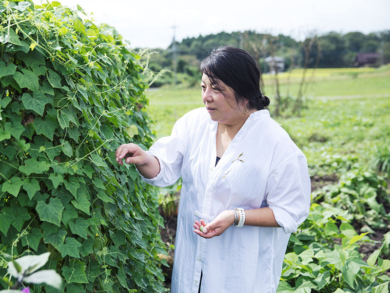 画像: はちみつを“薬”としてとらえて暮らしに取り入れているRARIさん。みつろうの薬効にも長らく注目し、活用している