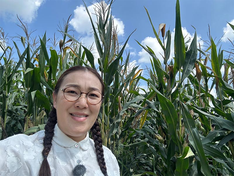 画像1: 人も植物も北向きがお好き? 反省しきりの夏のベランダ菜園