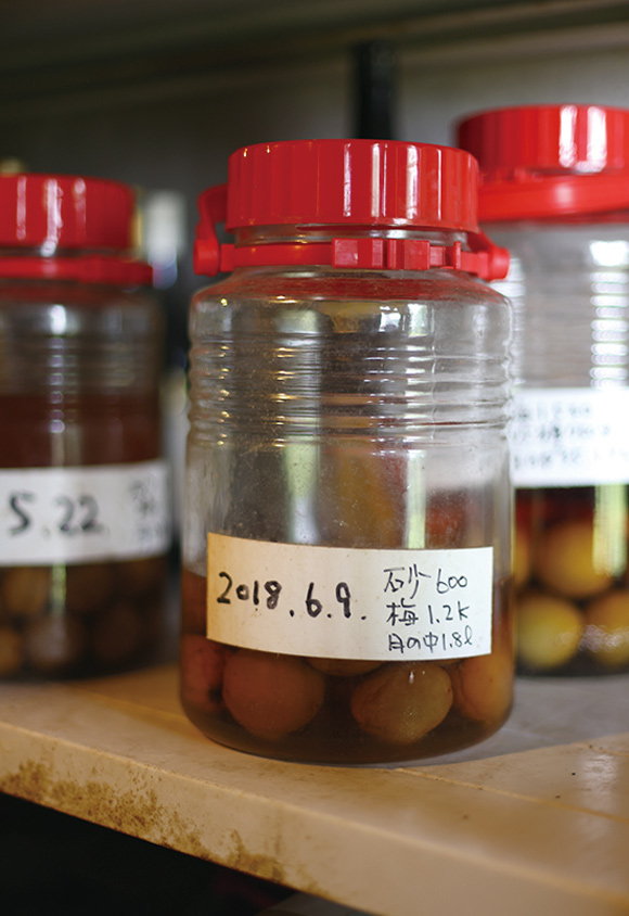 画像: 自家製の梅酒やシロップもここに。ラベルにはつくった日付と分量を